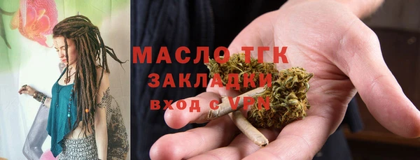 гидра Инсар