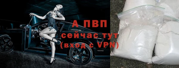 тгк Абинск