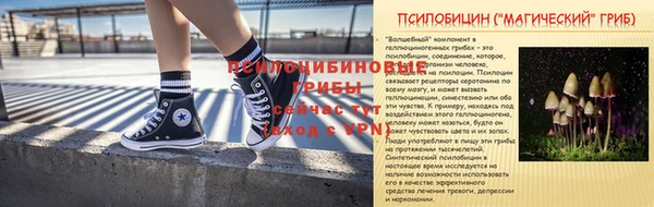 тгк Абинск